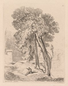 Liber Studiorum: Tafel 18, Bäume bei Norwich Thorp, Norfolk von John Sell Cotman
