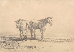 Zwei alte Pferde stehen auf einem Feld von John Sell Cotman