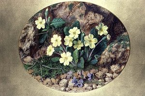 Primeln und Veilchen von John Sherrin