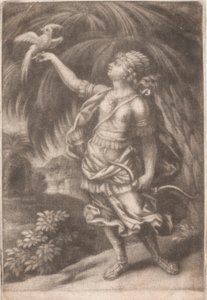 Ein Falkner