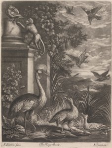 Die Vögel des Königs