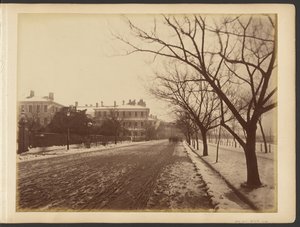 [Verschneite Straße]