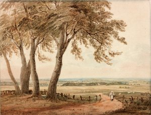 Blick von Polsden bei Bookham in Surrey