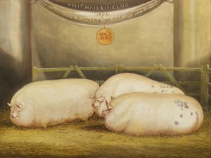 Drei verbesserte Leicesters in einem Gehege bei der Smithfield Club Weihnachtsschau 1858 von John Vine