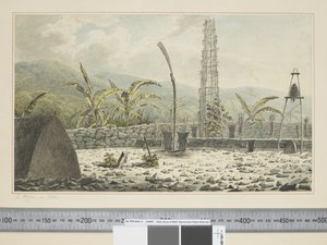 F.17 Ein Morai in Atooi, um 1773-84 (Aquarell) von John Webber