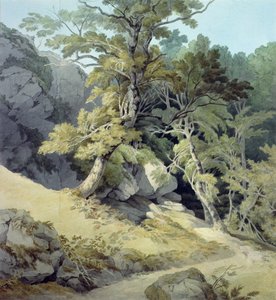 Canonteign, Devon von John White Abbott