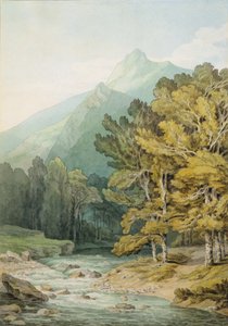 Auf dem Dart in Holne Chase von John White Abbott