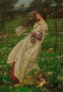 Windblumen