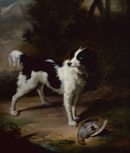 Ein schwarz-weißer Springer Spaniel mit einem toten Rebhuhn in einer Landschaft von John Wootton
