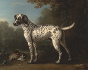Ein grau gesprenkelter Hund von John Wootton