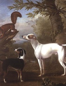 Zwei Jagdhunde, die von einem Eichhörnchen auf einem Baumstumpf angezogen werden von John Wootton