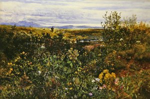 Weite Landschaft mit Wildblumen, ca. 1855-1860 von John Wright Oakes