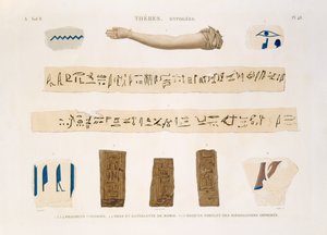 Illustrationen von Hieroglyphen und dem Arm einer Mumie aus Hypogäen, Theben, Tafel 48 aus Band II von 