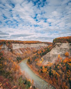 Herbstfarben in der Schlucht im Letchworth State Park, New York, USA von Jon Bilous