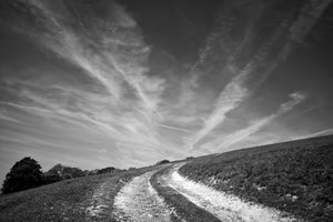 Das Goodwood-Anwesen in West Sussex, UK, 2019 von Jon Nicholson