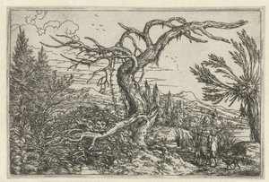 Landschaft mit dem dürren Baum von Jonas Umbach