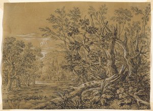 Bach durch einen alten Wald von Jonas Umbach