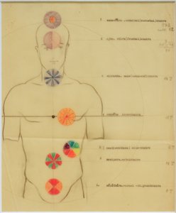 Die sieben Chakras