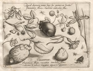 Archetypen und Studien: Was kann im Einklang mit einem solchen höhlenartigen Versprechen entstehen, 1592