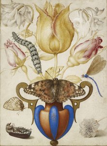 Blumenarrangement in einer Vase, mit Insekten, 1594 (Aquarell mit Gold auf Pergament) von Joris Hoefnagel