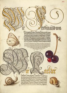 Schmetterling, Süßkirsche und Landschnecken von Joris Hoefnagel