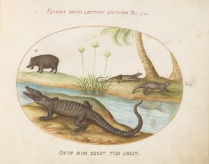 Tafel 50: Ein Krokodil(?), ein Nilpferd(?) und zwei Eidechsen mit einer Papyruspflanze