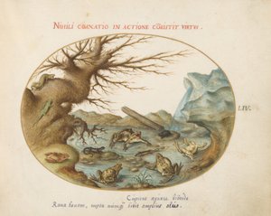 Tafel 54: Frösche in einer Landschaft von Joris Hoefnagel
