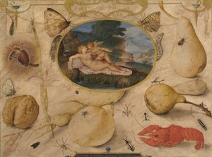 Venus entwaffnet Amor in einem Medaillon, umgeben von Pflanzen, Früchten, Insekten und Schalentieren von Joris Hoefnagel