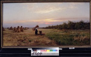 Ernte im Abendlicht von Josef Evstafievich Krachkovsky