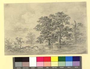 Flusslandschaft mit Bäumen