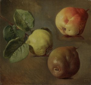 Quitten