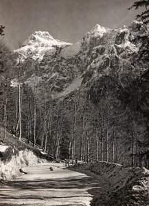 Album "Meine Weltkriegs-Erinnerungen Südwestfront (Kärnten, Italien, Südtirol) 31.03.1915-12.11.1918 - Josef Zohles Wien": Bergstraße (s/w Foto)