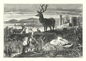 Verfall des irdischen Prunks von Joseph (after) Wolf