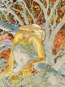 Baum