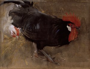 Der schwarze Hahn