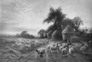 Schafe füttern, ca. 1890