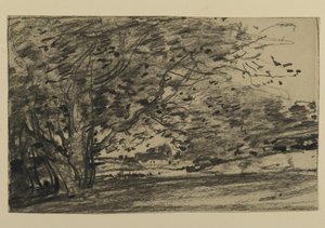 Studie von Bäumen, 1870 von Joseph Frank Currier