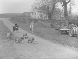 Blick auf Schafe, Lämmer, zwei Kinder auf Ponys, Traktor und Anhänger und Gebäude von Joseph Hardman