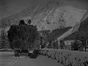 Lkw voller Weihnachtsbäume fährt eine verschneite Straße hinunter von Joseph Hardman