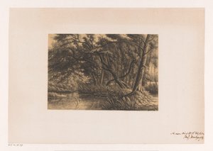 Waldlandschaft mit Teich