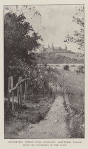 Churchyard Bottom Wood, Highgate, Alexandra Palace von den Rändern des Waldes von Joseph Holland Tringham