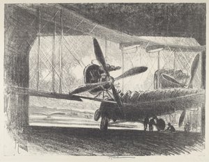 Der große Käfer von Joseph Pennell