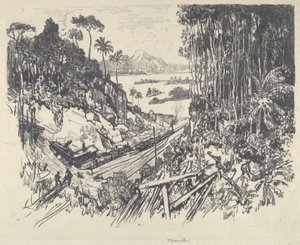 Der Dschungel von Joseph Pennell