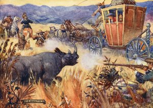 Simon Van der Stel und das Nashorn