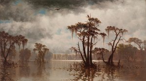 Bayou-Szene