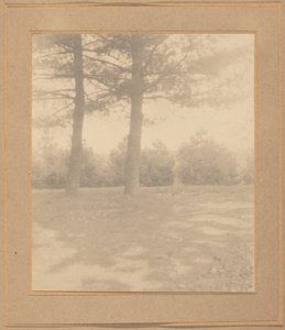 Landschaft mit Bäumen, ca. 1900