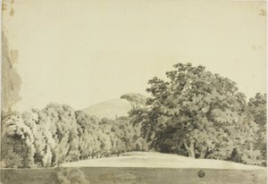 Waldlandschaft von Joseph Wright of Derby