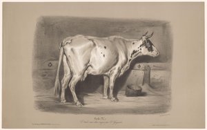 Kuh im Stall von Joseph Zephyris Gengembre