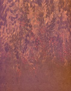 Kaskadierende Wisteria-Blüten