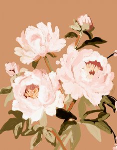 Sanfte Rosa Pfingstrosen